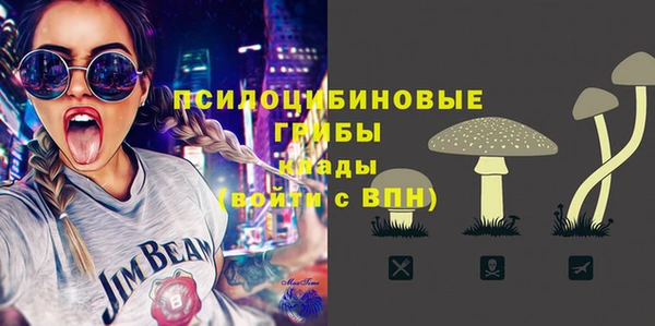 крисы Нязепетровск