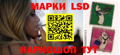 ПСИЛОЦИБИНОВЫЕ ГРИБЫ Гатчина