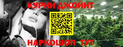 молекула духа Гай