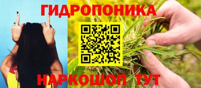 ПСИЛОЦИБИНОВЫЕ ГРИБЫ Гатчина