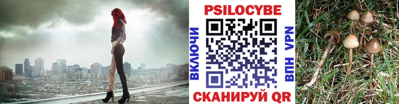 Галлюциногенные грибы мицелий  МЕГА ONION  Ульяновск 