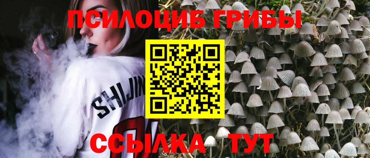 Псилоцибиновые грибы Cubensis Ульяновск