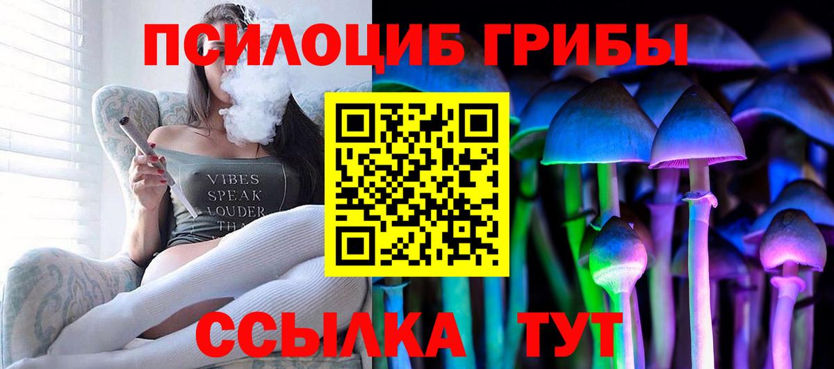 Псилоцибиновые грибы Psilocybine cubensis Ульяновск