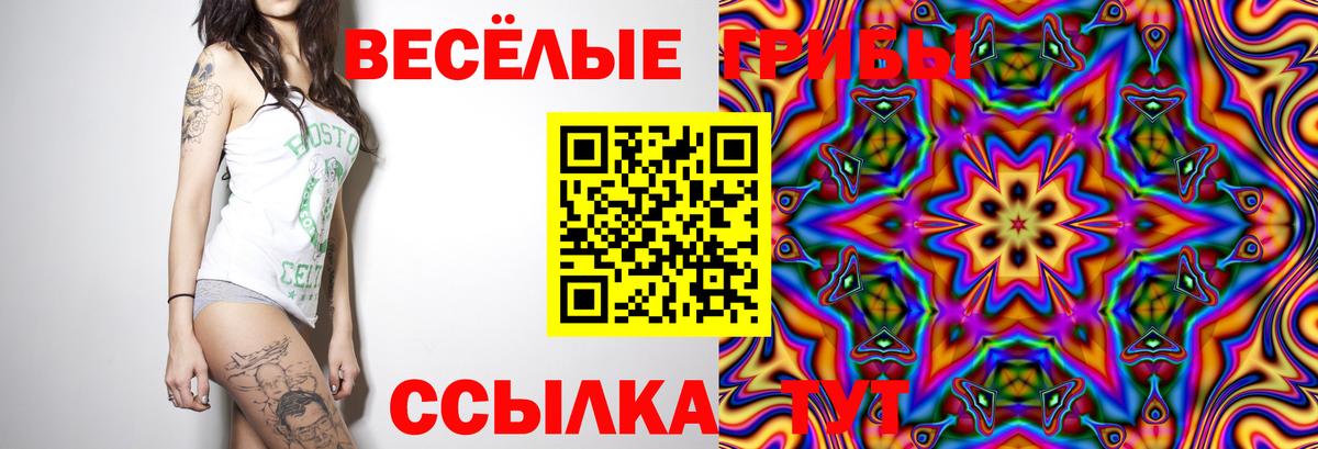 Галлюциногенные грибы Cubensis  Вход с VPN  Псилоцибиновые грибы мухоморы  Ульяновск 