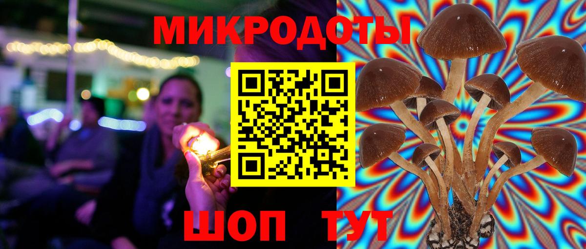 Псилоцибиновые грибы MAGIC MUSHROOMS  Ульяновск 